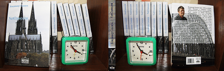 обложка книги NetОдиссея